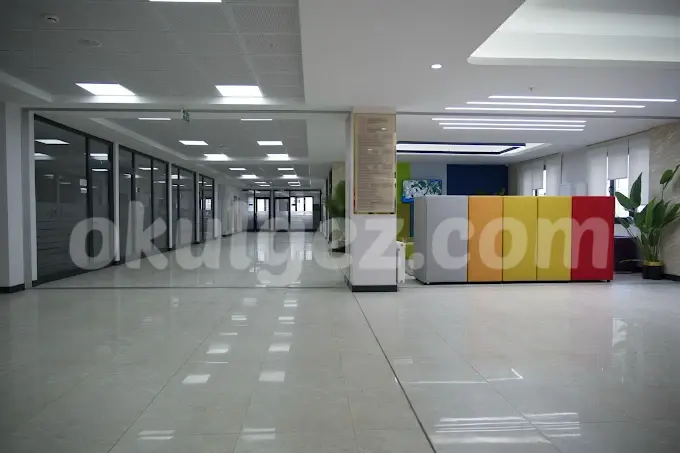 Özel Başakşehir Asil Okulları Anaokulu