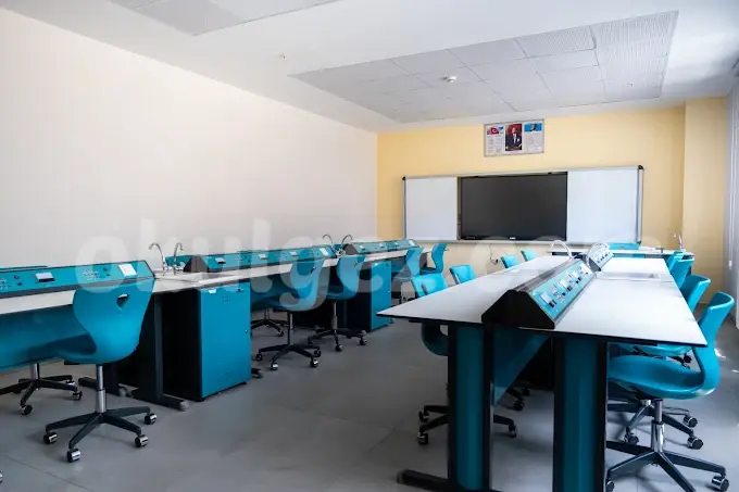 Özel Başakşehir Asil Okulları Anaokulu