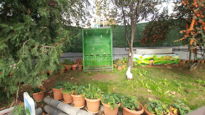 Özel Basın Ekspres Final Okulları Anaokulu