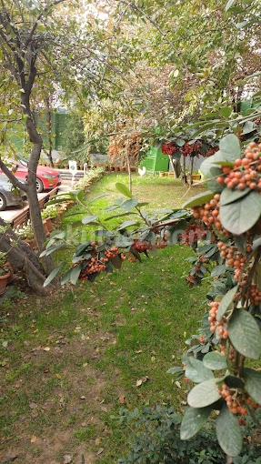 Özel Basın Ekspres Final Okulları Anaokulu