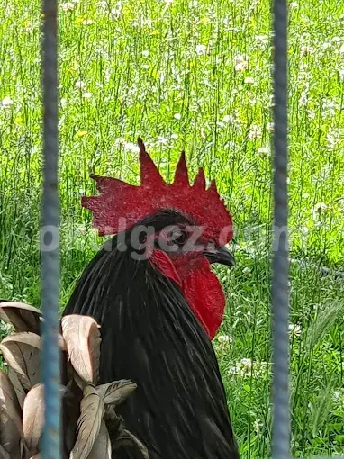 Özel Batı Yıldızı Atakent Anaokulu