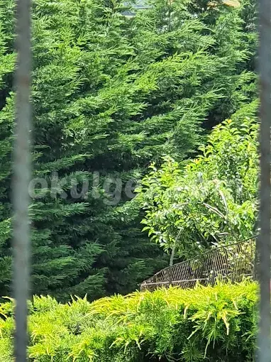 Özel Batı Yıldızı Atakent Anaokulu