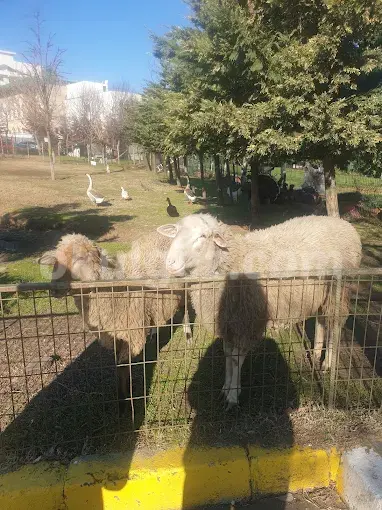Özel Batı Yıldızı Atakent Anaokulu
