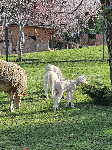 Özel Batı Yıldızı Atakent Anaokulu