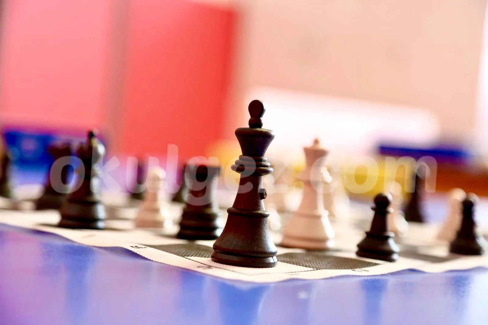 Özel Bayrampaşa Şuku Anaokulu