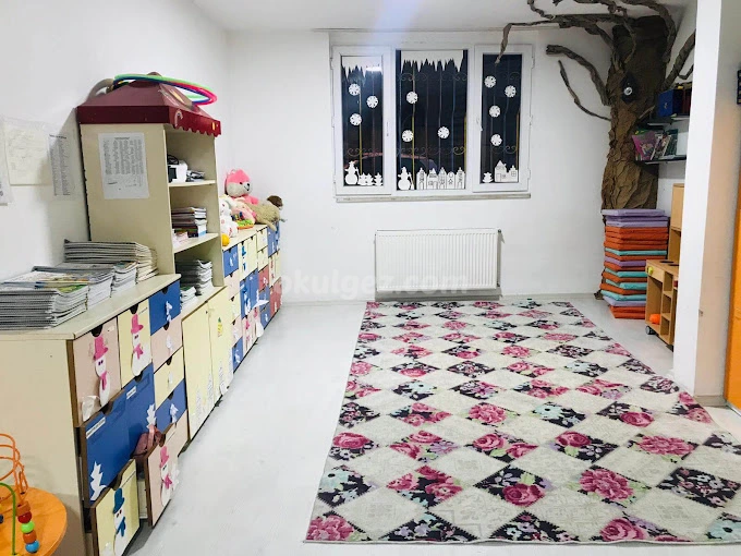 Özel Benim Hikayem Gülsüm Demir Anaokulu