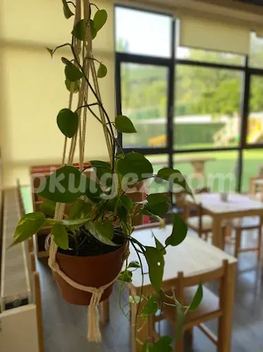 Özel Beş Taş Anaokulu