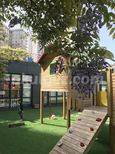 Özel Beş Taş Anaokulu