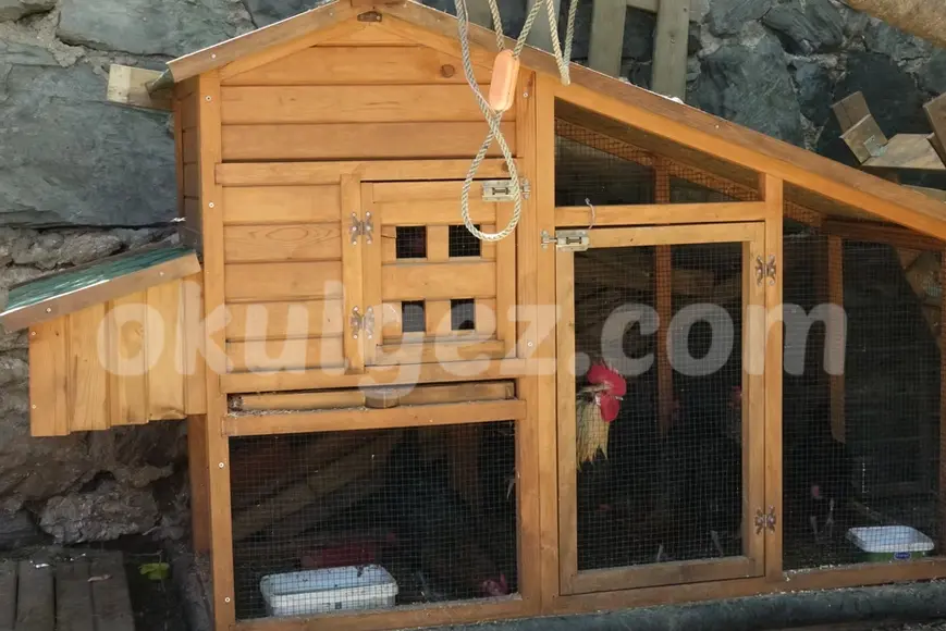 Özel Beşiktaş Suyun Anaokulu