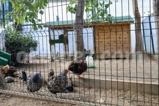 Özel Beykent Kids Aloud Anaokulu