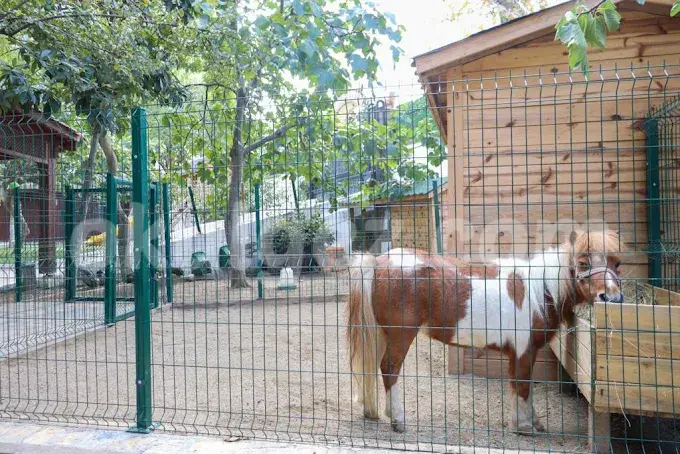 Özel Beykent Kids Aloud Anaokulu