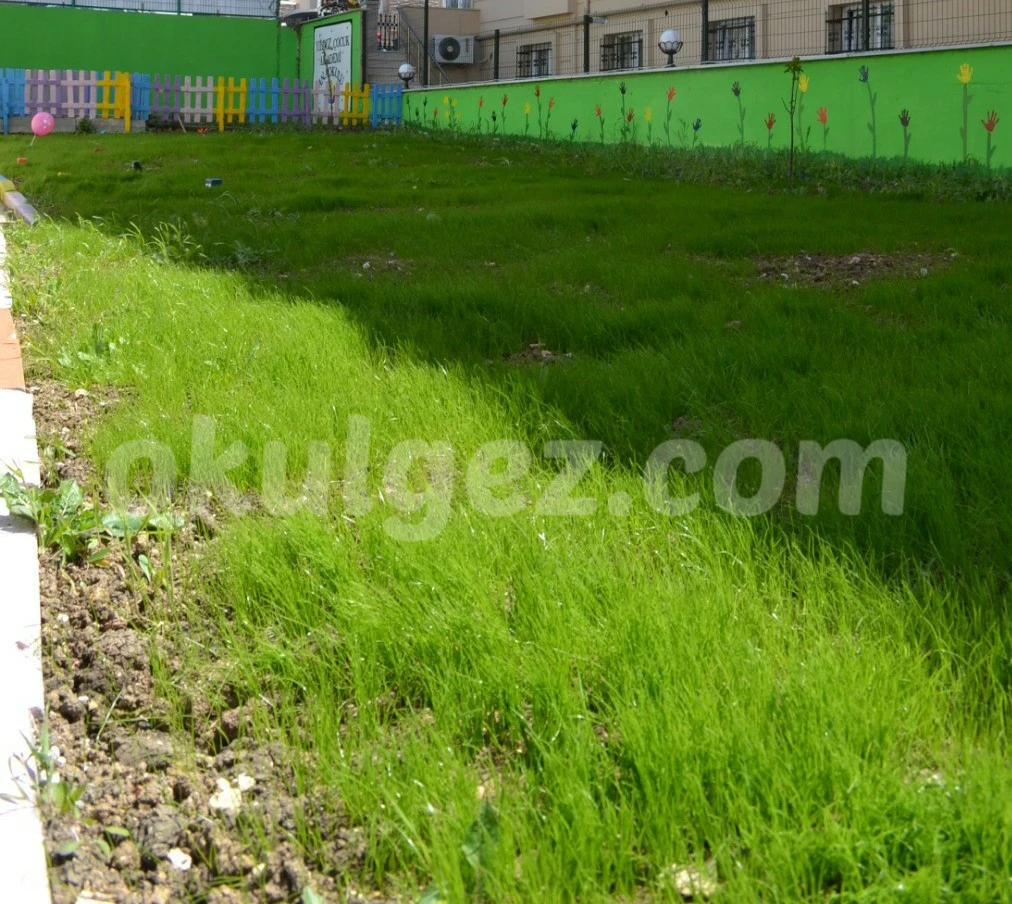 Özel Beykent Yıldızlar Dünyası Çocuk Akademisi