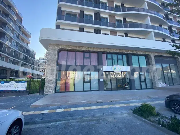 Özel Beylikdüzü American International Kids Academy (AIKA) Anaokulu