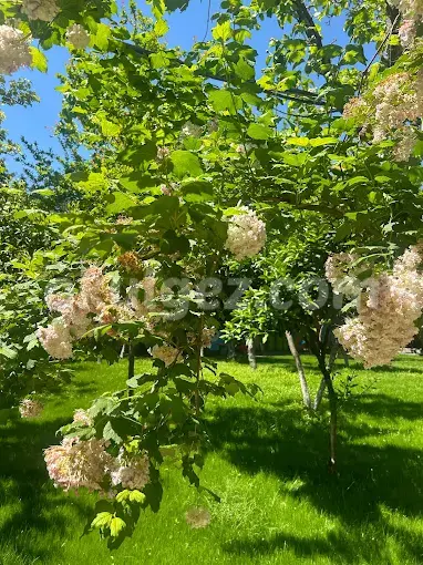 Özel Beylikdüzü Hayal Bahçem Anaokulu