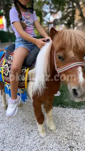 Özel Beylikdüzü Kids Aloud Anaokulu
