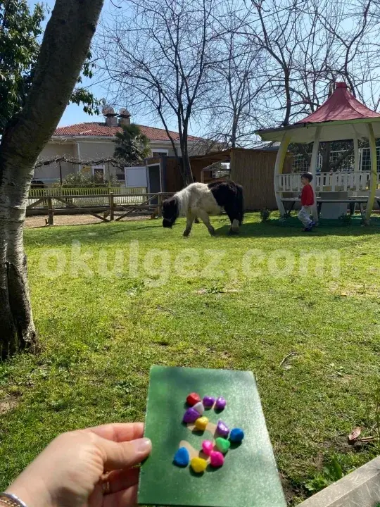 Özel Beylikdüzü Sevgi Pınarı Anaokulu