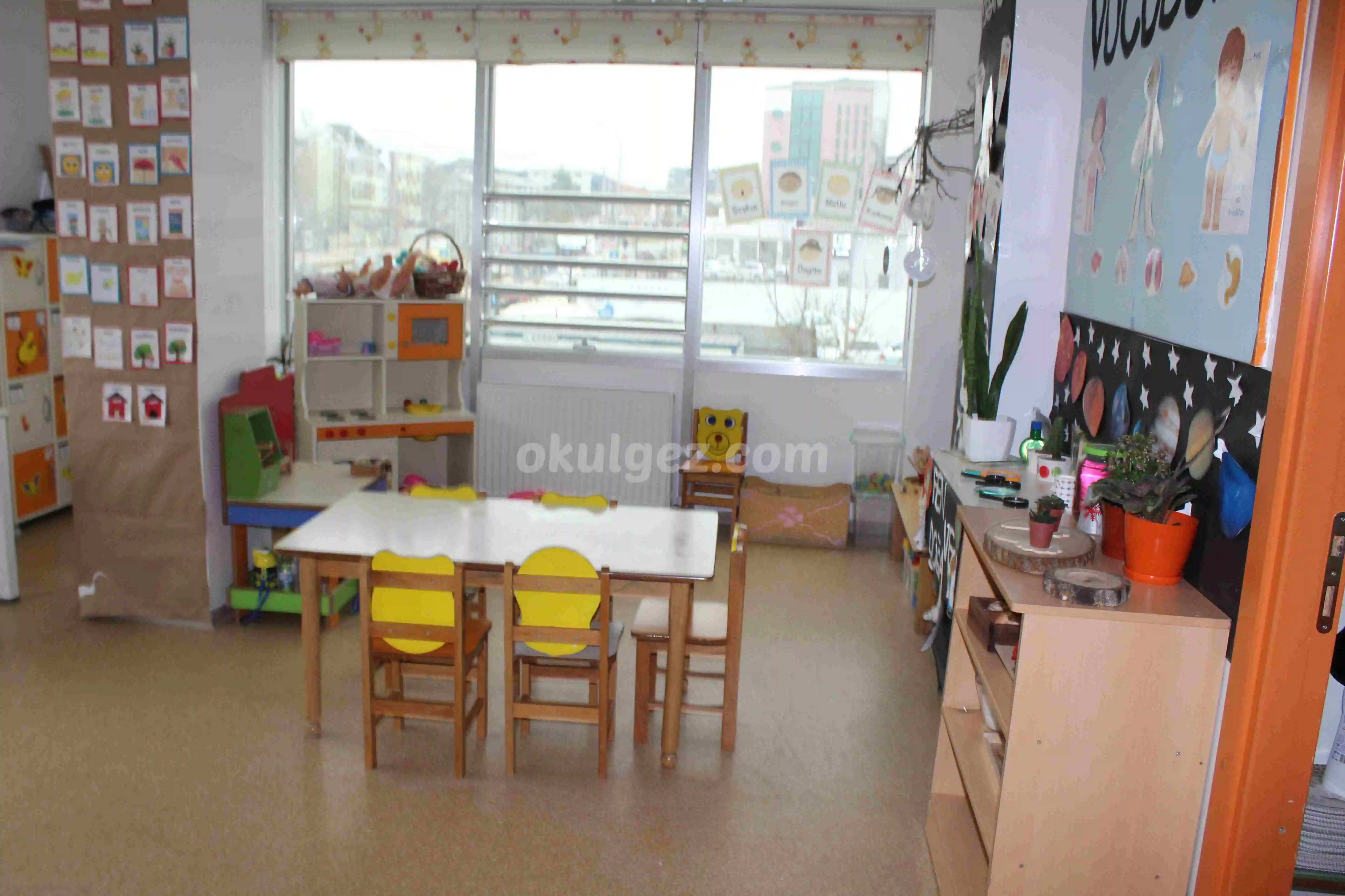 Özel Bilgi Dağı Koleji Anaokulu