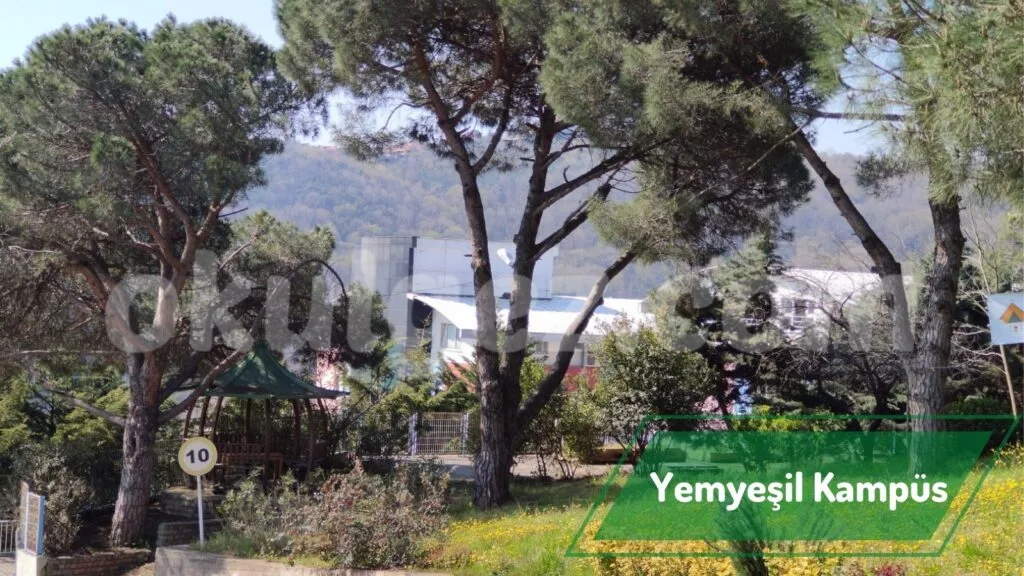 Özel Boğazhisar Koleji Anaokulu