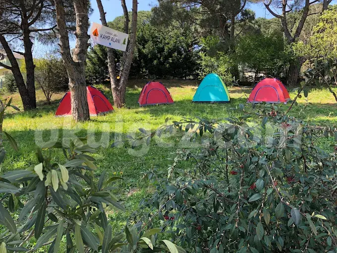 Özel Boğazhisar Koleji Anaokulu