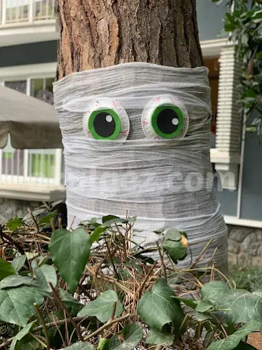 Özel BrightKids Çiftehavuzlar International Preschool