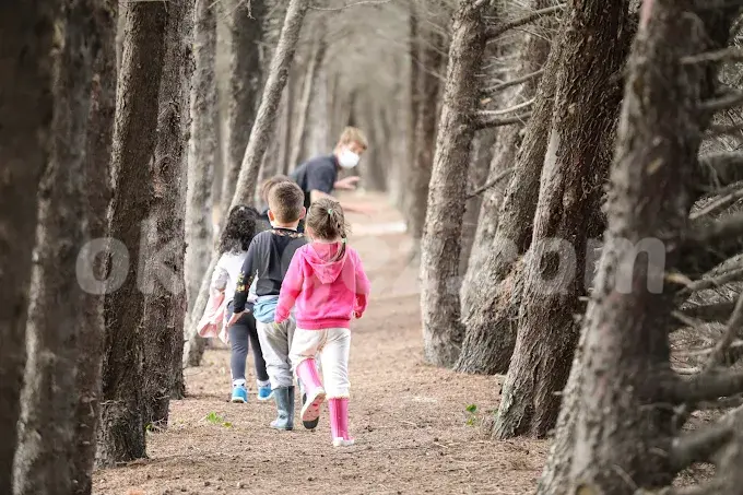 Özel Büyükçekmece Istanbul International Community School Anaokulu