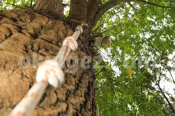 Özel Büyükçekmece Istanbul International Community School Anaokulu