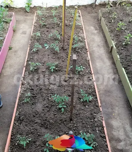 Özel Büyüyen Adımlar Anaokulu