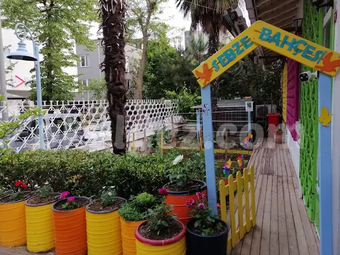 Özel Büyüyen Adımlar Anaokulu