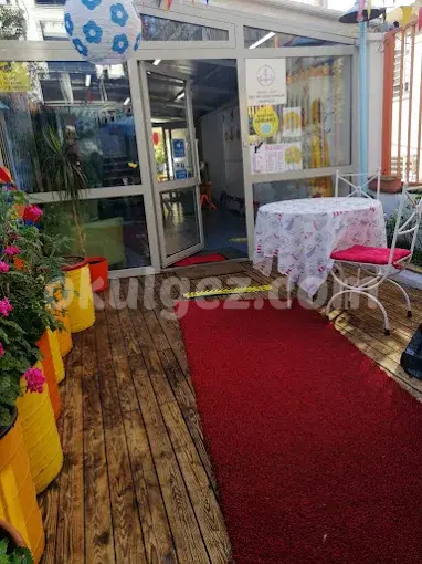 Özel Büyüyen Adımlar Anaokulu