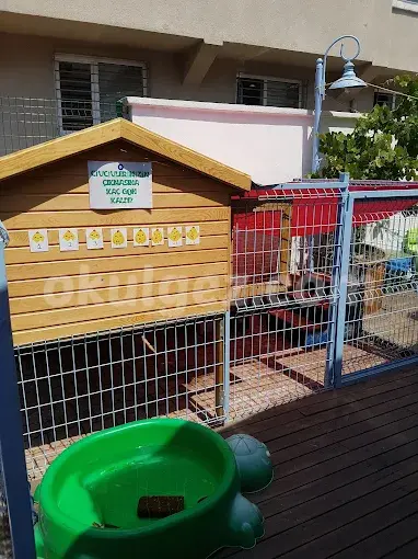 Özel Büyüyen Adımlar Anaokulu