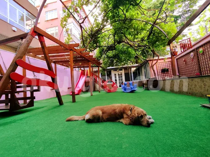 Özel Çakıltaşı Anaokulu