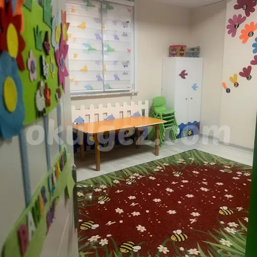 Özel Çekmeköy Beyaz Zambak Anaokulu