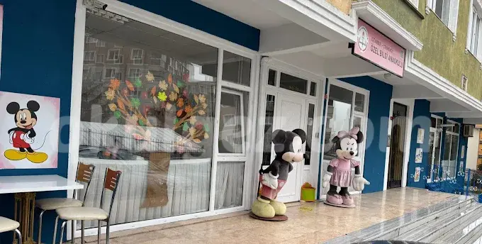 Özel Çekmeköy Bilgi Anaokulu