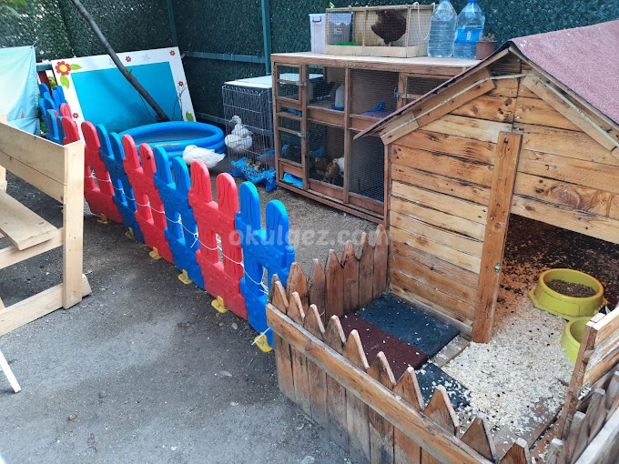 Özel Çocuk Bahçesi Anaokulu