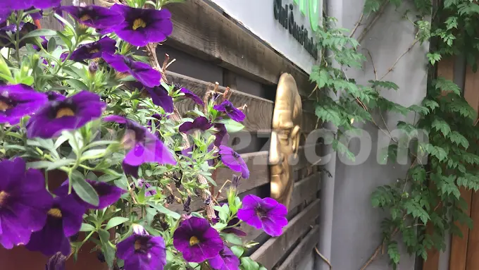 Özel Cogito Anaokulu