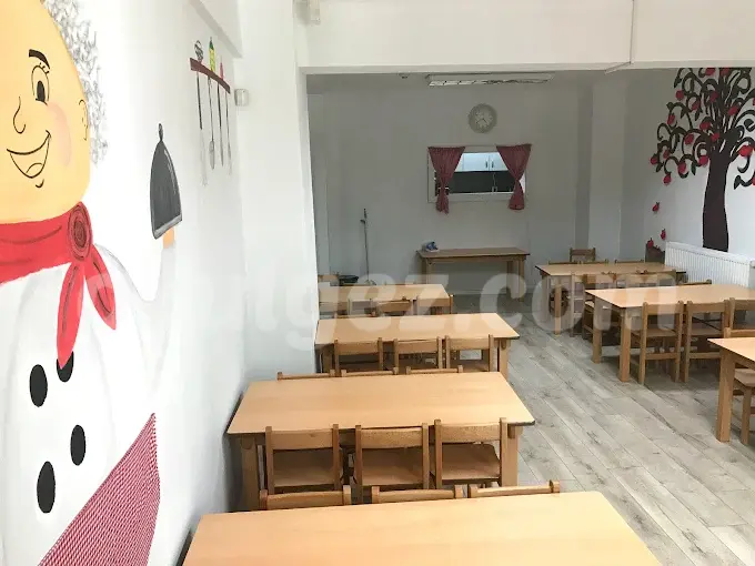 Özel Cogito Anaokulu