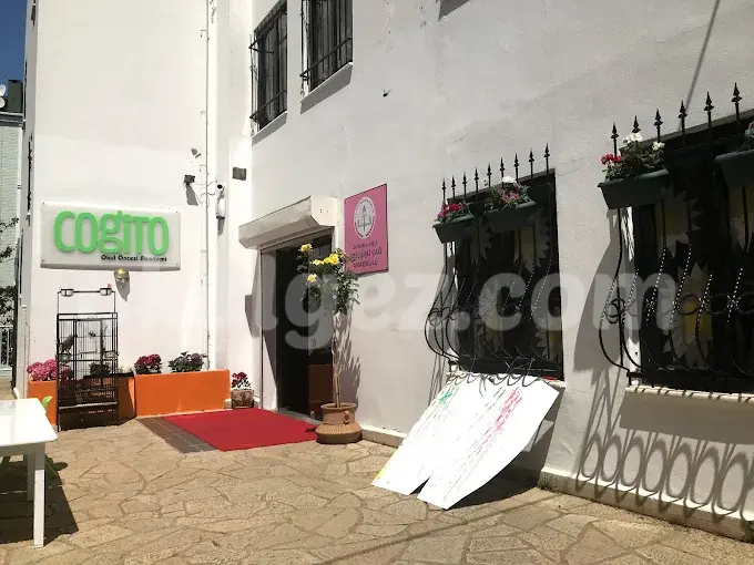 Özel Cogito Anaokulu