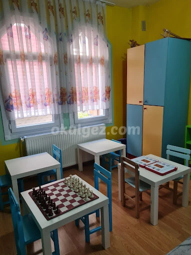 Özel Dahi Beyinler Anaokulu