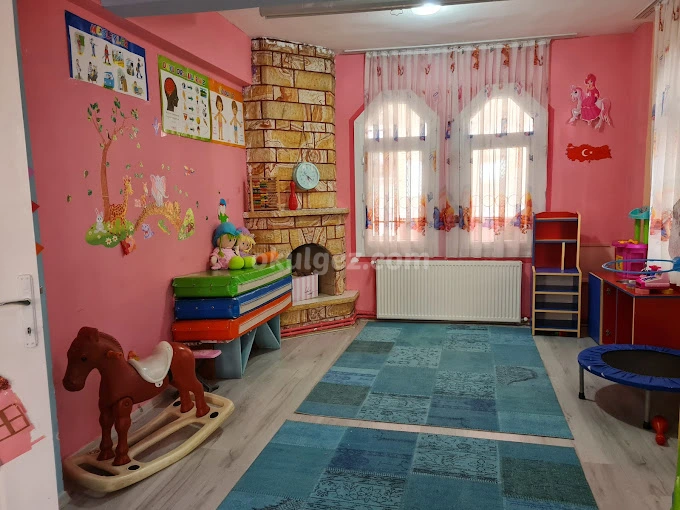 Özel Dahi Beyinler Anaokulu