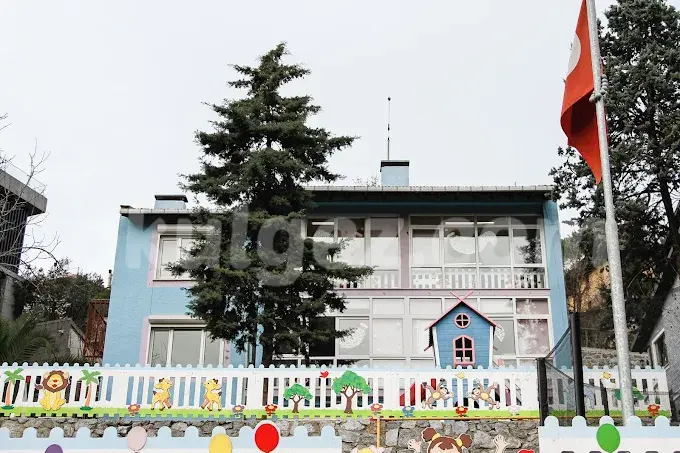 Özel Defnem Anaokulu