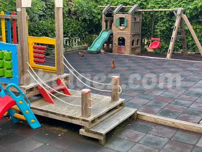 Özel Dragos Minirenk Anaokulu