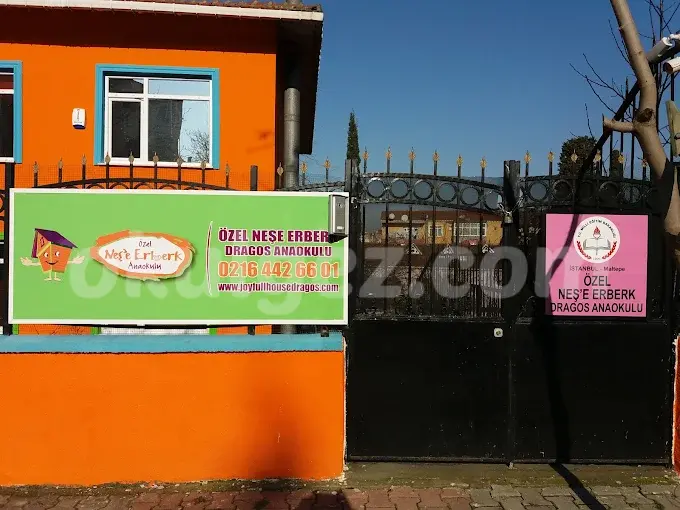 Özel Dragos Neşe Erberk Anaokulu