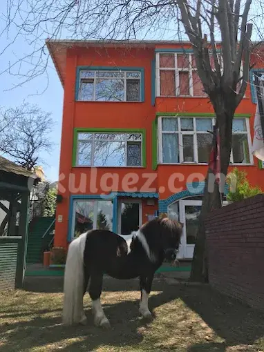 Özel Dragos Neşe Erberk Anaokulu