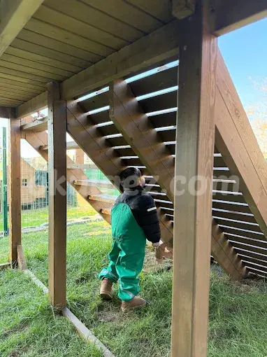 Özel Düşle Anaokulu