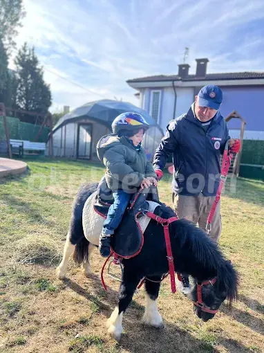 Özel Düşle Anaokulu