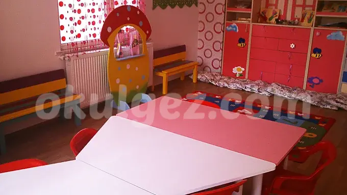 Özel Duygusal Zeka Anaokulu