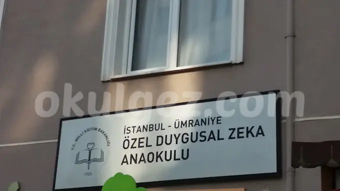 Özel Duygusal Zeka Anaokulu