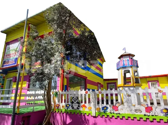 Özel DYF Schools Anaokulu