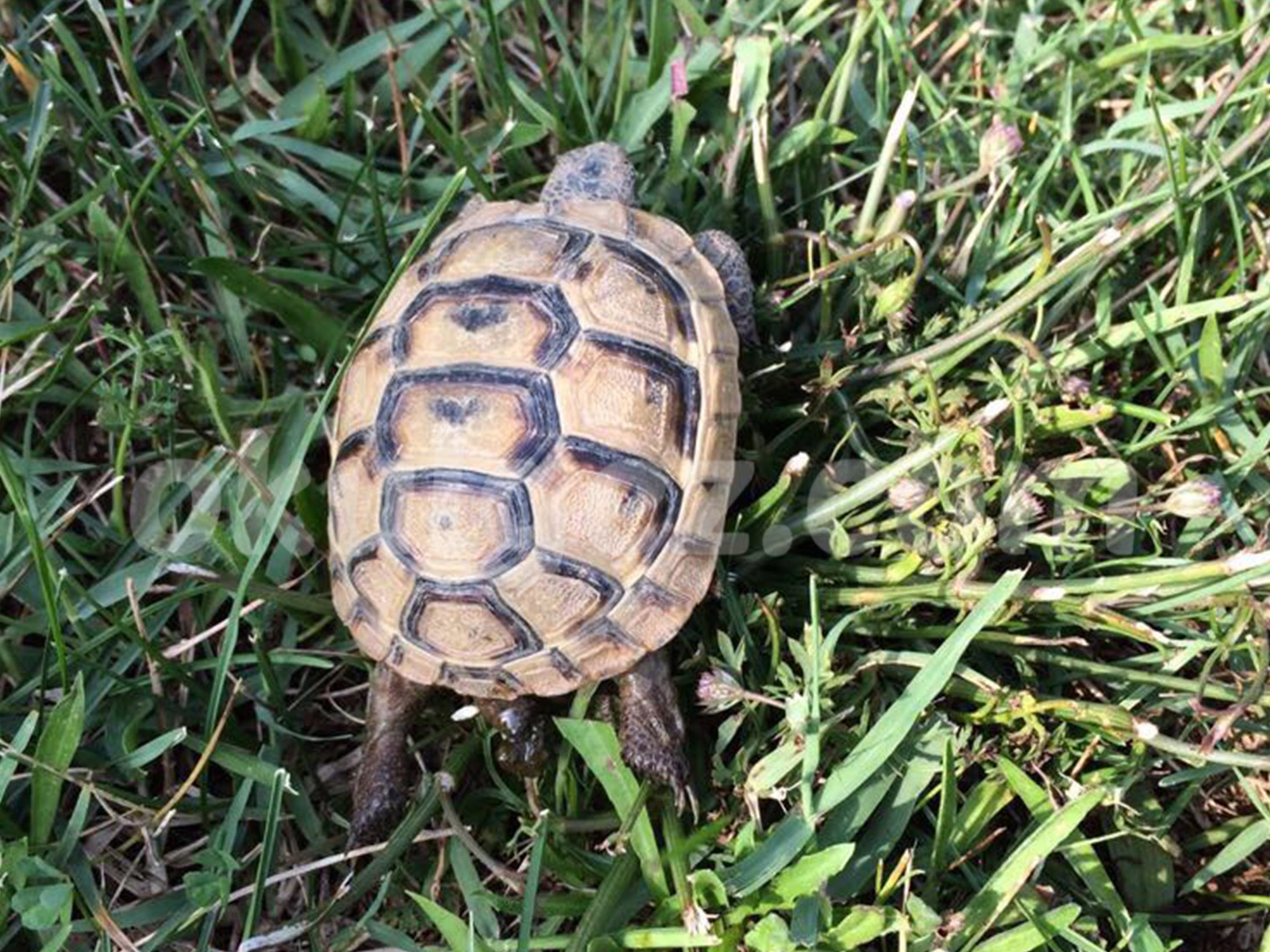 Özel Ekinköy Montessori Anaokulu