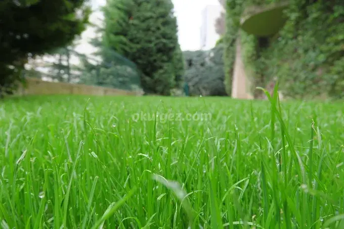 Özel Eko Kids Anaokulu